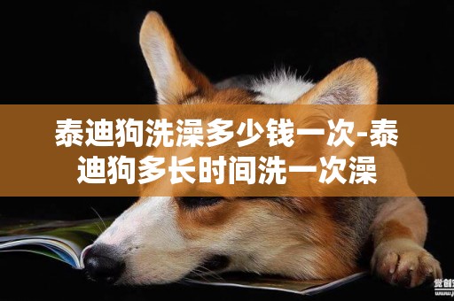 泰迪狗洗澡多少錢一次-泰迪狗多長時間洗一次澡