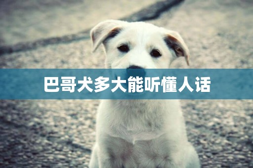 巴哥犬多大能聽懂人話