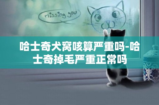 哈士奇犬窩咳算嚴重嗎-哈士奇掉毛嚴重正常嗎