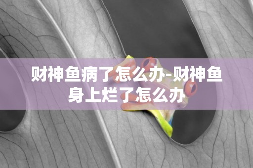 財神魚病了怎么辦-財神魚身上爛了怎么辦