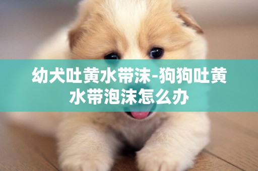 幼犬吐黃水帶沫-狗狗吐黃水帶泡沫怎么辦