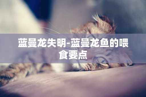 藍曼龍失明-藍曼龍魚的喂食要點