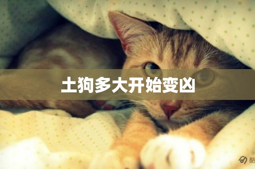 土狗多大開始變兇