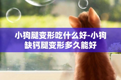 小狗腿變形吃什么好-小狗缺鈣腿變形多久能好