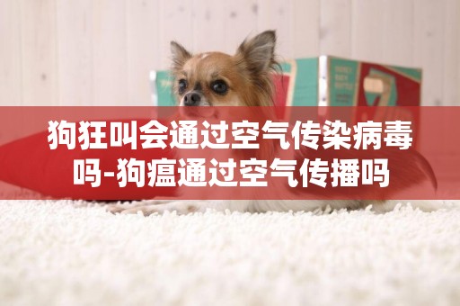 狗狂叫會通過空氣傳染病毒嗎-狗瘟通過空氣傳播嗎
