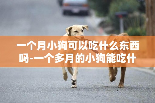 一個月小狗可以吃什么東西嗎-一個多月的小狗能吃什么東西
