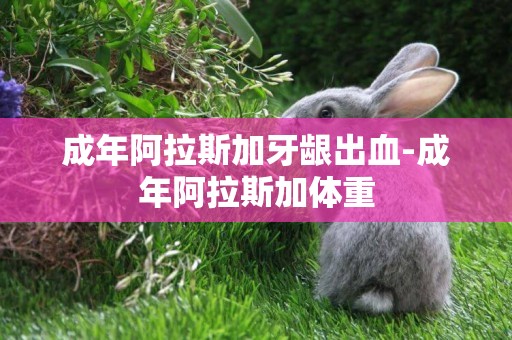 成年阿拉斯加牙齦出血-成年阿拉斯加體重