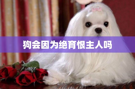 狗會因為絕育恨主人嗎
