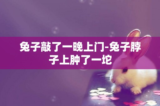 兔子敲了一晚上門-兔子脖子上腫了一坨