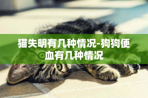 貓失明有幾種情況-狗狗便血有幾種情況