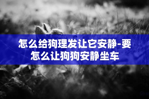 怎么給狗理發讓它安靜-要怎么讓狗狗安靜坐車