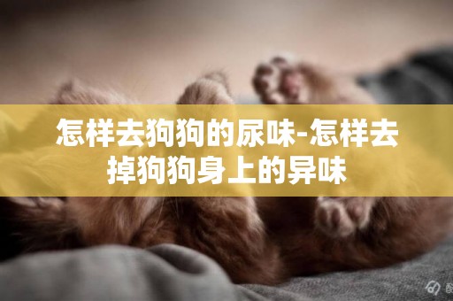 怎樣去狗狗的尿味-怎樣去掉狗狗身上的異味