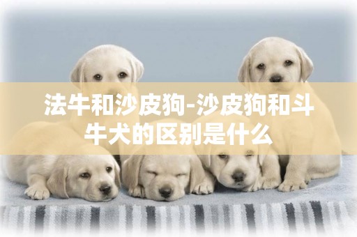 法牛和沙皮狗-沙皮狗和斗牛犬的區別是什么