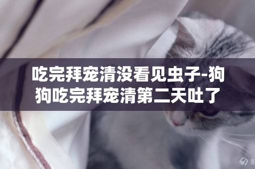 吃完拜寵清沒看見蟲子-狗狗吃完拜寵清第二天吐了
