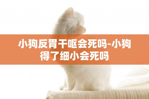 小狗反胃干嘔會死嗎-小狗得了細小會死嗎