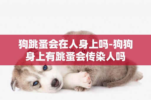 狗跳蚤會在人身上嗎-狗狗身上有跳蚤會傳染人嗎