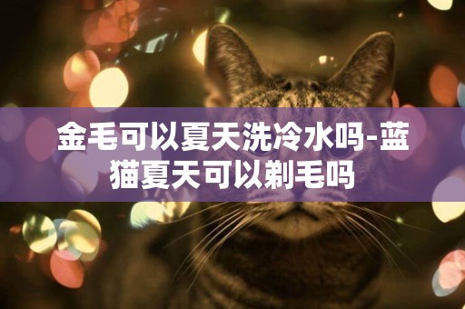 金毛可以夏天洗冷水嗎-藍貓夏天可以剃毛嗎