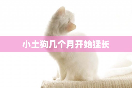 小土狗幾個月開始猛長