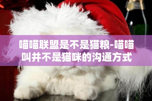 喵喵聯盟是不是貓糧-喵喵叫并不是貓咪的溝通方式