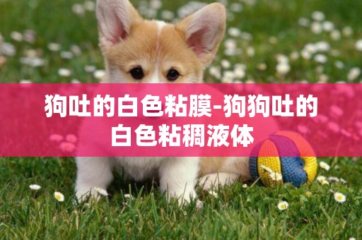 狗吐的白色粘膜-狗狗吐的白色粘稠液體
