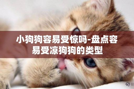 小狗狗容易受驚嗎-盤點容易受涼狗狗的類型
