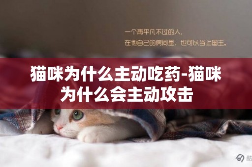 貓咪為什么主動吃藥-貓咪為什么會主動攻擊