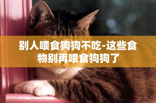 別人喂食狗狗不吃-這些食物別再喂食狗狗了