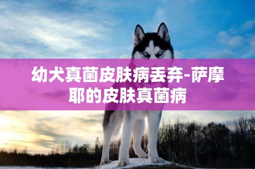 幼犬真菌皮膚病丟棄-薩摩耶的皮膚真菌病
