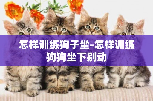 怎樣訓練狗子坐-怎樣訓練狗狗坐下別動