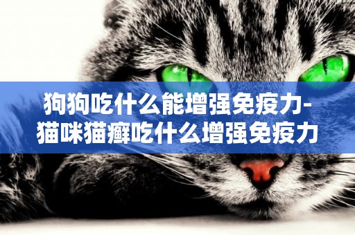 狗狗吃什么能增強免疫力-貓咪貓癬吃什么增強免疫力