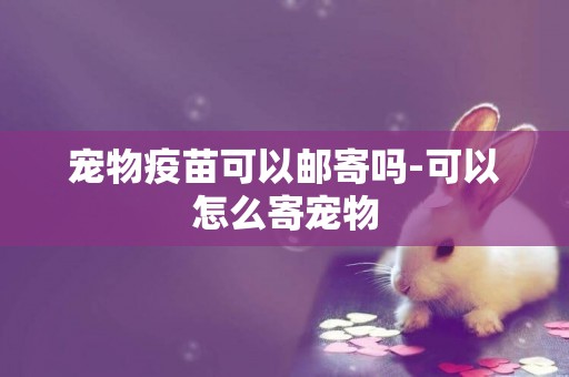 寵物疫苗可以郵寄嗎-可以怎么寄寵物