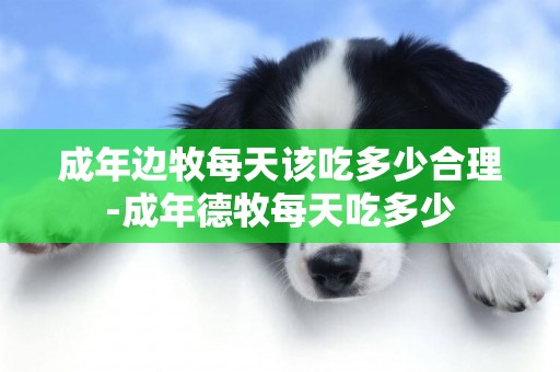 成年邊牧每天該吃多少合理-成年德牧每天吃多少