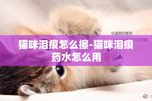 貓咪淚痕怎么擦-貓咪淚痕藥水怎么用