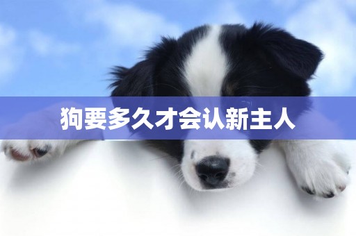 狗要多久才會認新主人