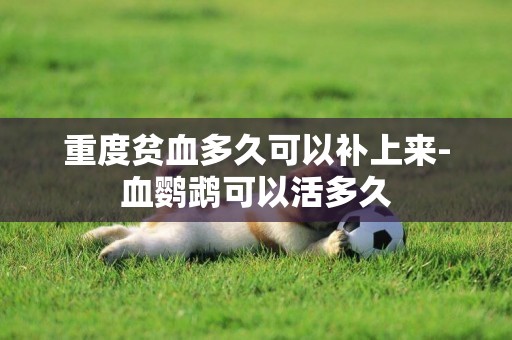 重度貧血多久可以補上來-血鸚鵡可以活多久