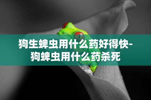 狗生蜱蟲用什么藥好得快-狗蜱蟲用什么藥殺死