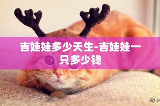吉娃娃多少天生-吉娃娃一只多少錢