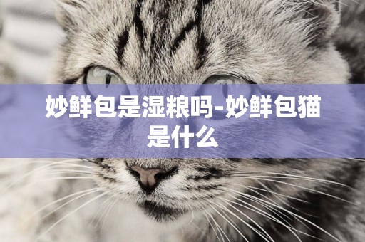 妙鮮包是濕糧嗎-妙鮮包貓是什么