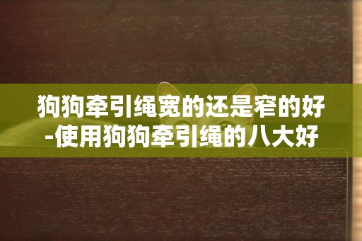 狗狗牽引繩寬的還是窄的好-使用狗狗牽引繩的八大好處