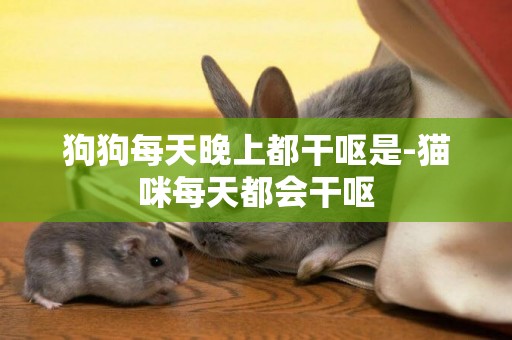 狗狗每天晚上都干嘔是-貓咪每天都會干嘔