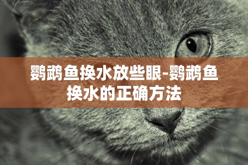 鸚鵡魚換水放些眼-鸚鵡魚換水的正確方法