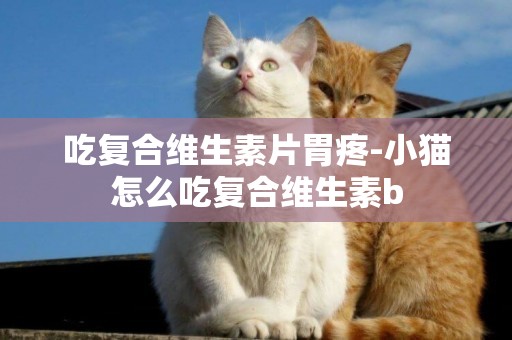 吃復合維生素片胃疼-小貓怎么吃復合維生素b
