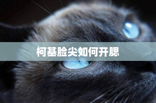 柯基臉尖如何開腮