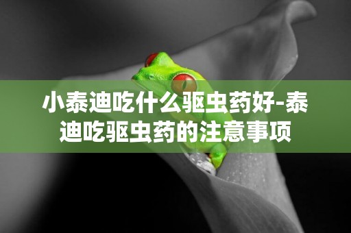 小泰迪吃什么驅蟲藥好-泰迪吃驅蟲藥的注意事項