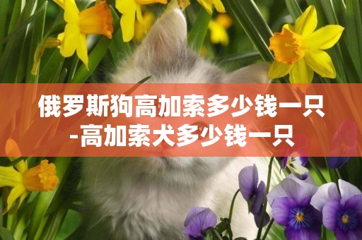俄羅斯狗高加索多少錢一只-高加索犬多少錢一只