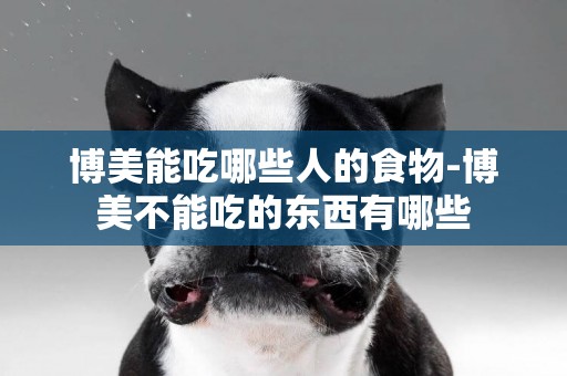 博美能吃哪些人的食物-博美不能吃的東西有哪些