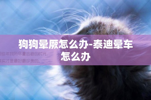 狗狗暈厥怎么辦-泰迪暈車怎么辦