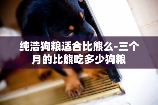 純浩狗糧適合比熊么-三個月的比熊吃多少狗糧