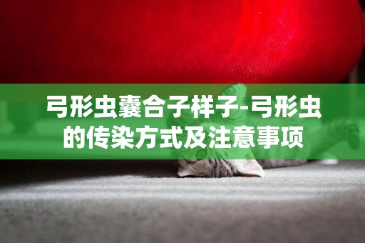 弓形蟲囊合子樣子-弓形蟲的傳染方式及注意事項