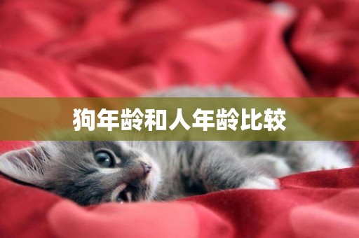 狗年齡和人年齡比較
